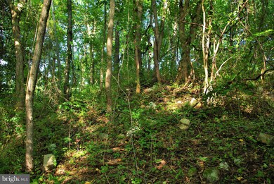 0 Withers Mill Rd unit 1002243054, Huntly, VA 22640 - photo 7