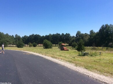 LOT 11 Cr 7612, Brookland, AR 72417 - photo 6