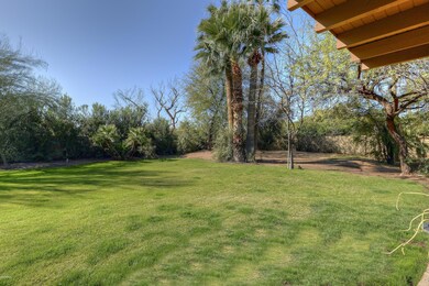 022_Partial Backyard