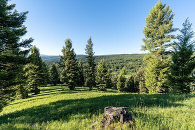392 Little Spike Rd, Big Sky, MT 59716 - photo 3