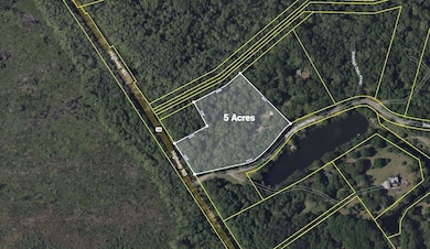 6370 Shilelagh Oaks Pkwy, Ravenel, SC 29470 - photo 2