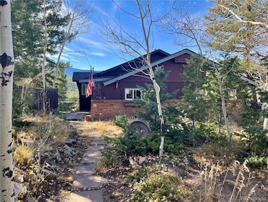 160 S Circle Dr, Bailey, CO 80421 - photo 2