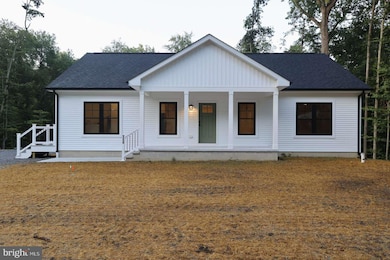 156 Pratts Branch Rd, Felton, DE 19943 - photo 4