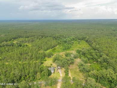 Nhn Tower Rd, Wiggins, MS 39577 - photo 2