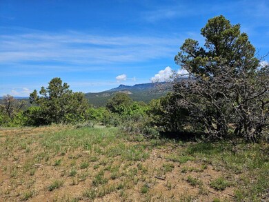 0 Alpine Meadows Dr unit F42 23-677, Trinidad, CO 81082 - photo 5