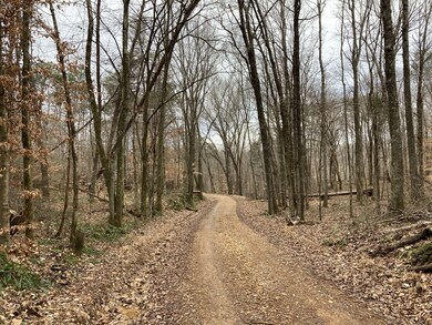 131 Hurricane Creek Dr, Tennessee Ridge, TN 37178 - photo 4