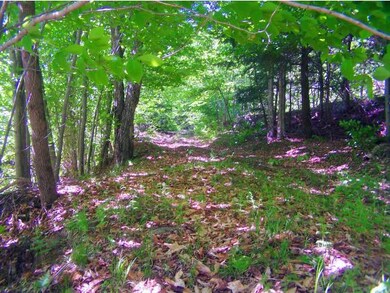 0 Parsons & Lake Hill Rd unit 4395997, Whitingham, VT 05361 - photo 4