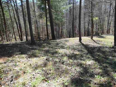 Lot 7 Acorn Dr unit Wildwood at Keowee, West Union, SC 29696 - photo 3