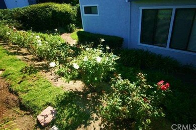 Roses right out front