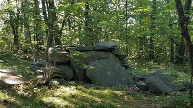 0 Bear Trap Rd unit 1463871, Bridgton, ME 04009 - photo 3