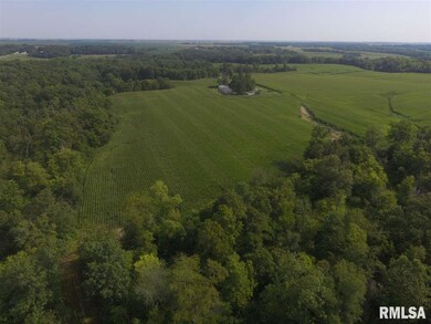 2282 Lone Rd, Ashland, IL 62612 - photo 5