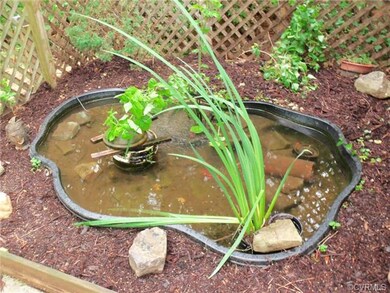 Coy Pond