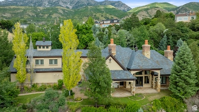 View from above of property featuring a mountainous background