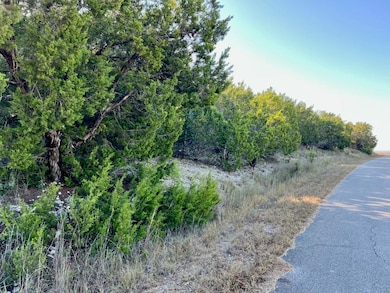 3401 Eisenhower Ave, Lago Vista, TX 78645 - photo 3