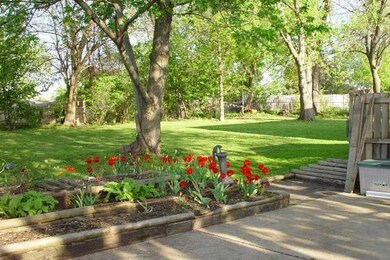 Yard/Garden.