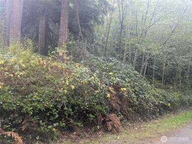 0 XXX Jewett Rd, Clinton, WA 98236 - photo 2