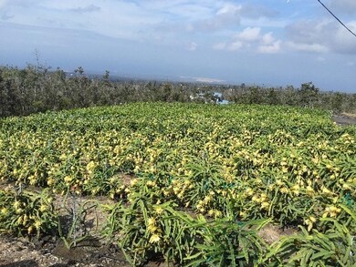 92-9095 Lehua Ln, Ocean View, HI 96704 - photo 3