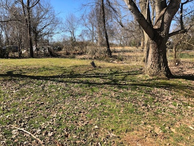 303 Roosevelt St, Johnson City, TN 37601 - photo 5