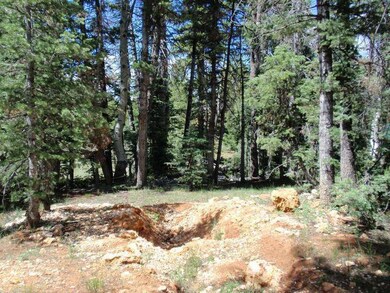 3170 N Empty Saddle Rd unit Aspen Pines Lot 3, Duck Creek Village, UT 84762 - photo 3