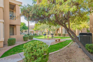 Canyon gate grounds