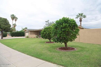 Front Citrus Trees-Stucoed Fence