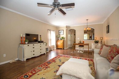 15907 Fishhawk View Dr, Lithia, FL 33547 - photo 7