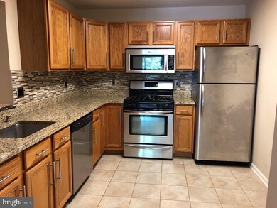 4 Tyler Falls Ct unit H, Baltimore, MD 21209 - photo 7