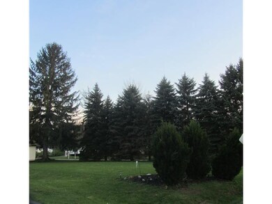 Land. SIDE YARD VIEW...THICK HEALTHY PINES PROVIDE