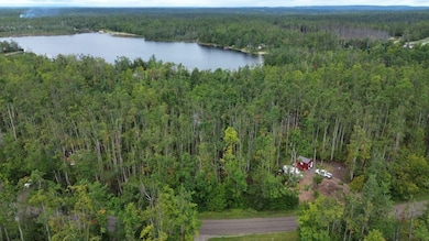 3264 Coolwater Ave, Johannesburg, MI 49751 - photo 5