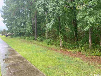 2626 Highway 378, Conway, SC 29527 - photo 4