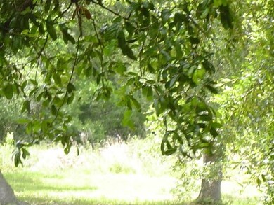 2512 Sweet Heart Ln, Pensacola, FL 32526 - photo 4