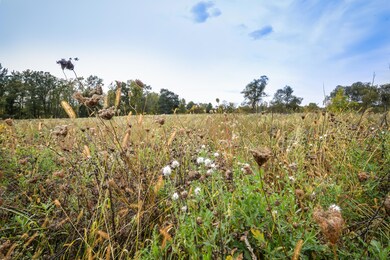 9283 Twin Oaks, Dexter, MI 48130 - photo 5