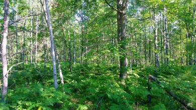 0 72nd St unit A 21020958, Idlewild, MI 49642 - photo 2