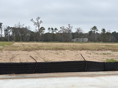 7915 Sunny Lily Loop, Cypress, TX 77433 - photo 6