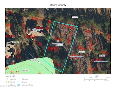 102 Bancroft Wetland Inventory GIS