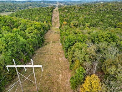 Tbd Tall Timbers Trail, Gainesville, MO 65655 - photo 6