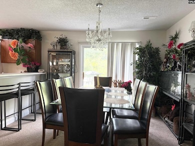 4046 W Fairmeadow Dr, Lancaster, SC 29720 - photo 3