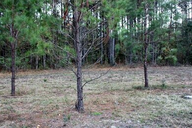 1286 Tidal Dr SE, Townsend, GA 31331 - photo 5