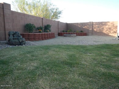 Backyard2
