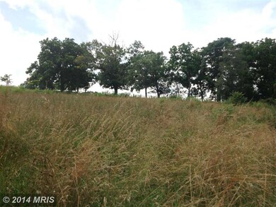 359 Brook Creek Rd, Toms Brook, VA 22660 - photo 6