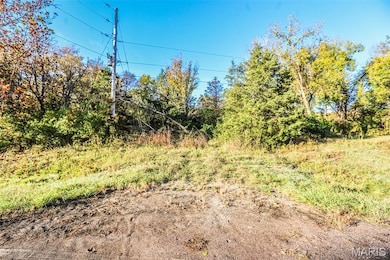 4591 Highway W, Byrnes Mill, MO 63051 - photo 3