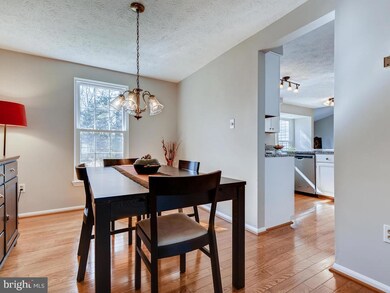 10826 Topbranch Ln, Columbia, MD 21044 - photo 5