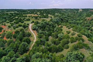 Rr Hwy 281, Fairview, OK 73737 - photo 4