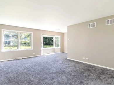 842 N Columbia St, Naperville, IL 60563 - photo 6