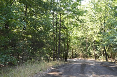 Lots 12 & 13 Timberline Dr, Heber Springs, AR 72543 - photo 3