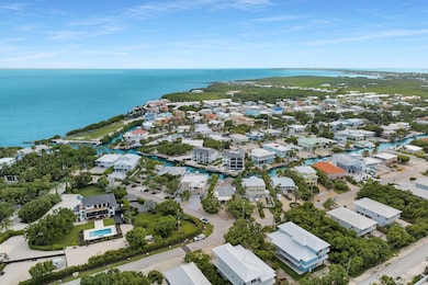 Neighborhood aerial