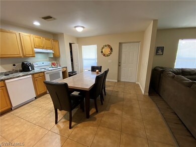 Entrance area showing kitchen and living area divide.