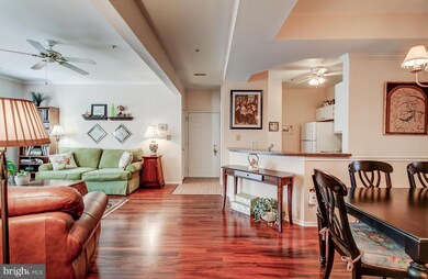 8804 Groffs Mill Dr, Owings Mills, MD 21117 - photo 2