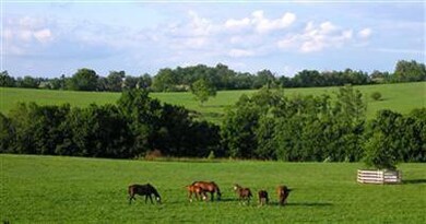 485 Chatham Rd, Harrodsburg, KY 40330 - photo 7