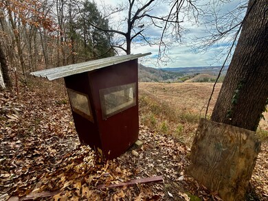 2114 Powell River Rd, Tazewell, TN 37879 - photo 5